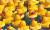 Framingham Daze Family Fair (and Duck Race)