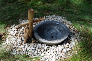 Water Whimsey - Fountain at Garden in the Woods, Framingham, MA, Aug 17 to Sept 7, 2010