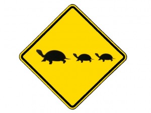 Turtle Crossing Sign