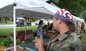 Framingham Farmer’s Market at Centre Common