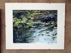 Bottomley captures water-lillies and moving water.