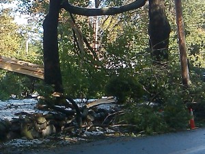 Framingham DPW special storm debris pickup day is November 14, 2011.