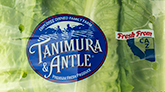 Packaged Single Head Romaine Lettuce Recalled