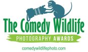 2021 Comedy Wildlife Photography Awards Winners Announced